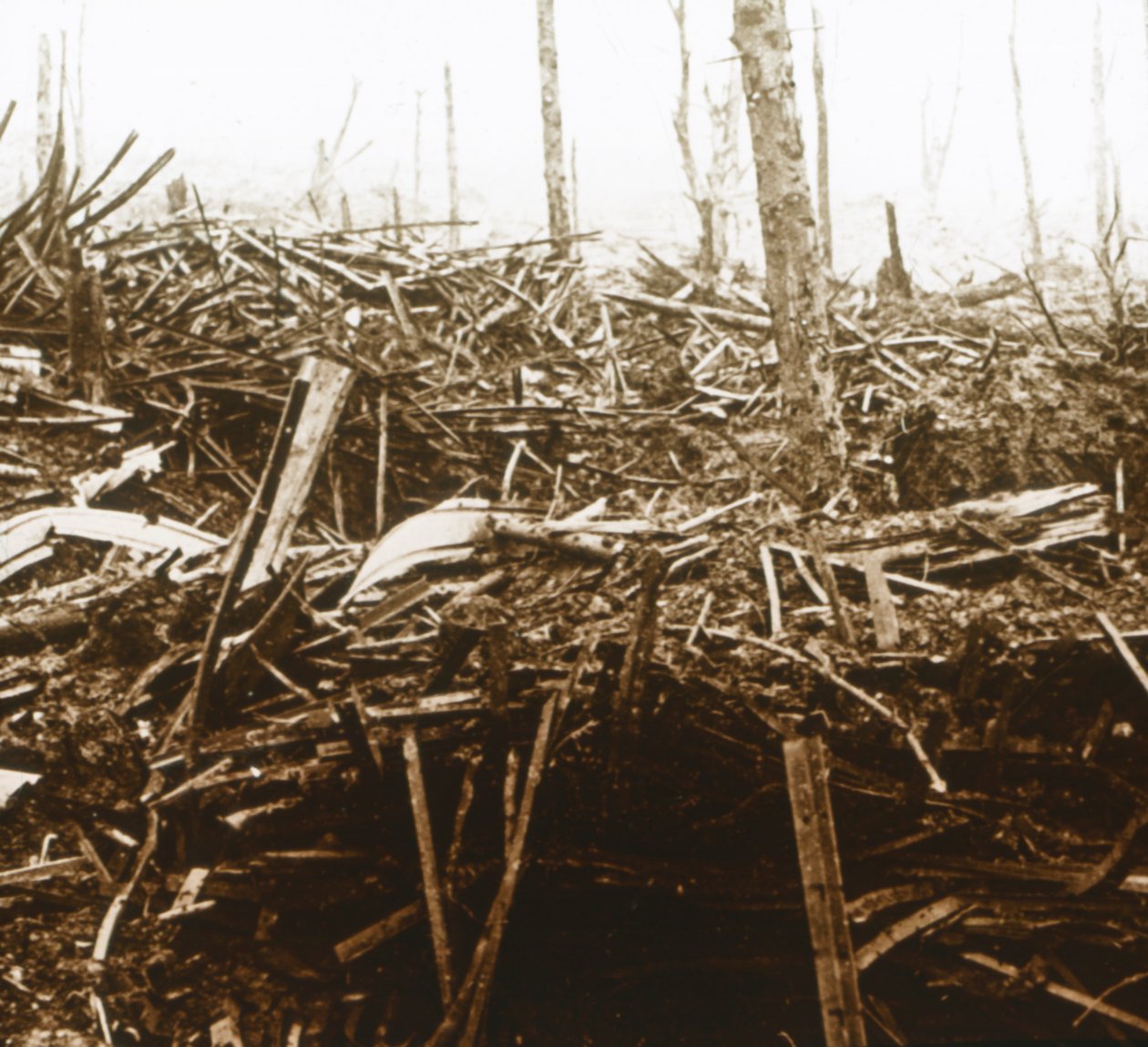 Campo de batalha, c1914-c1918 de Unbekannt