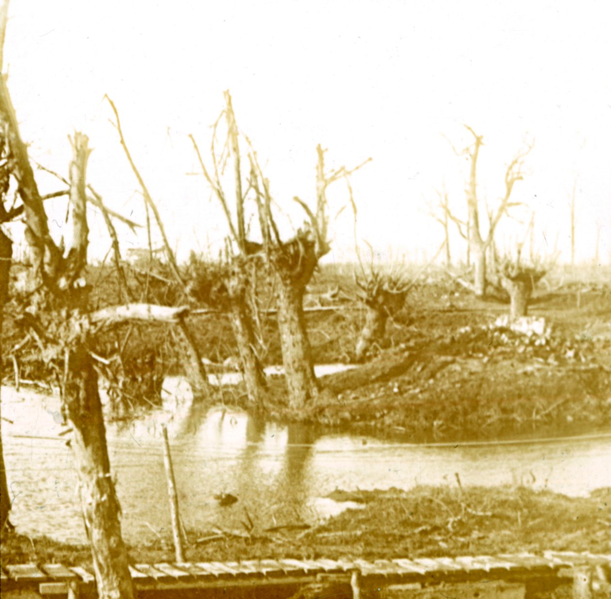Campo de batalha, c1914-c1918 de Unbekannt