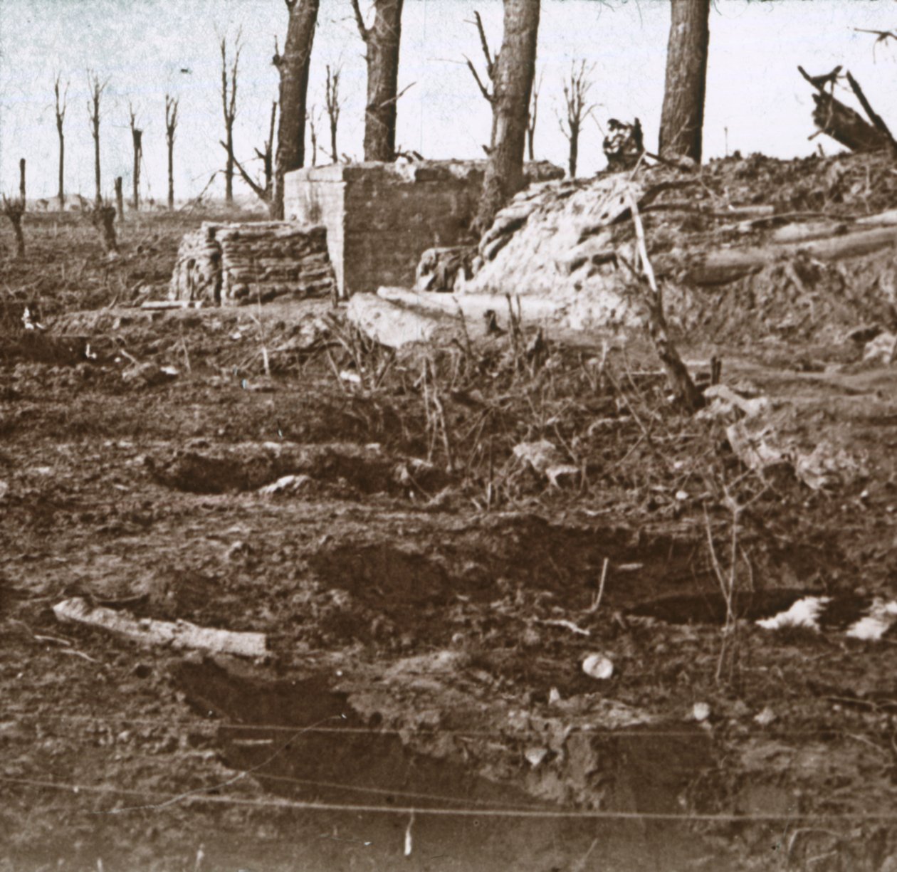 Campo de batalha, c1914-c1918 de Unbekannt