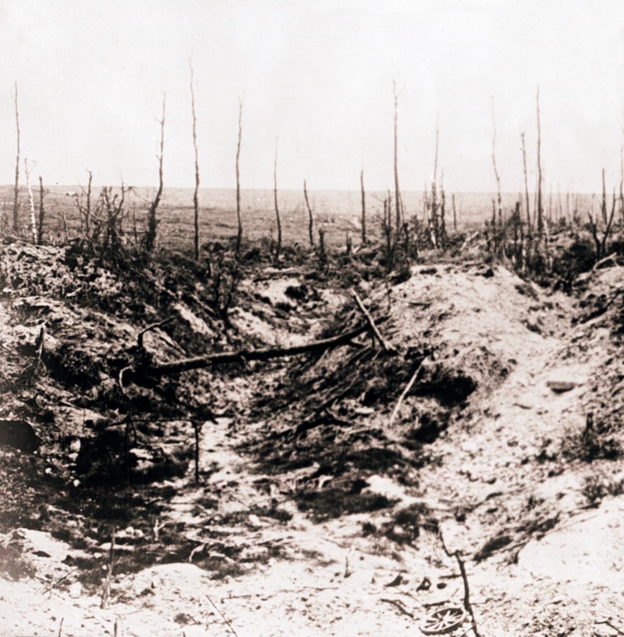 Campo de batalha, c1914-c1918 de Unbekannt