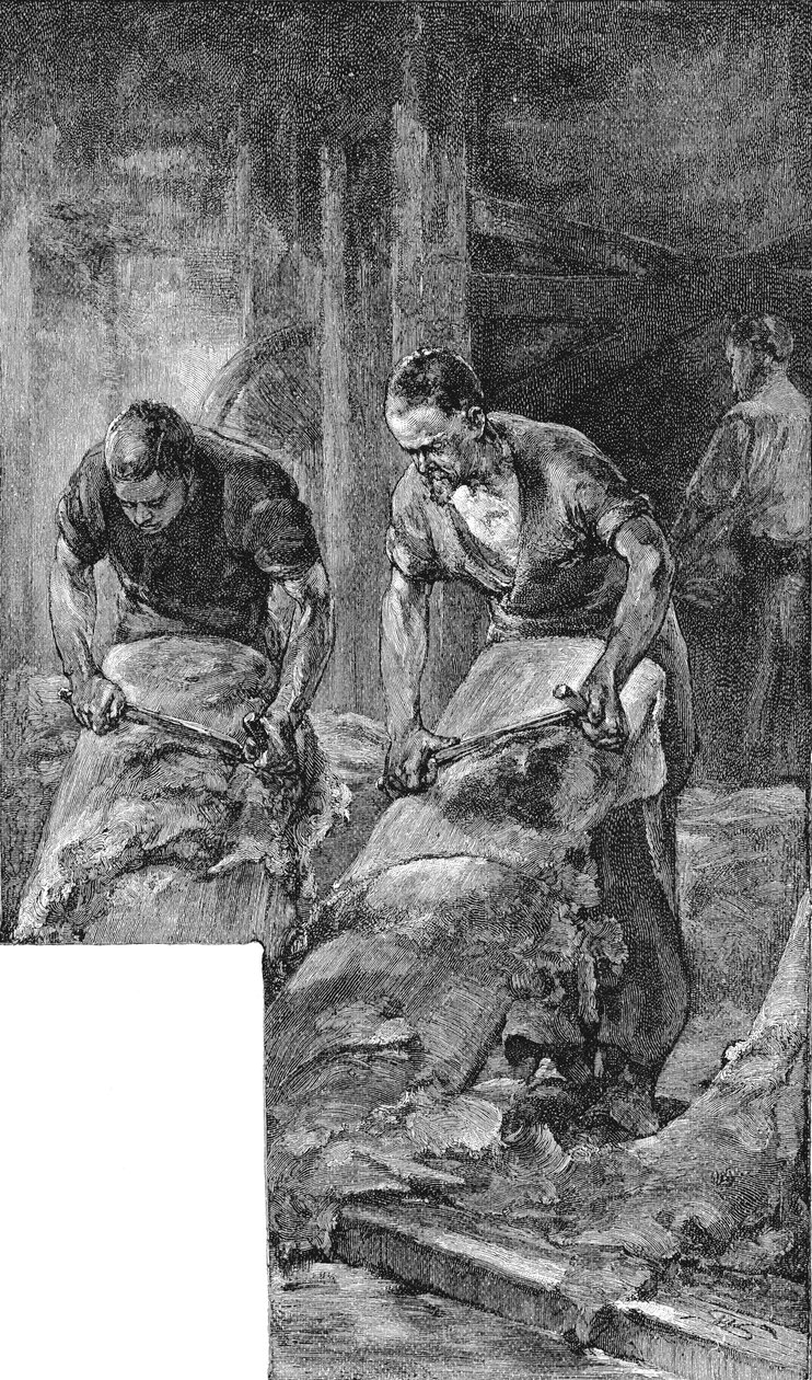 Couros irradiantes para produção de couro para calçados, 1885 de Unbekannt