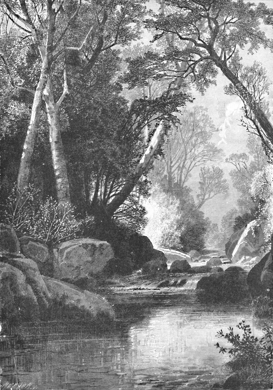 Bear River, perto de Bethel, Maine, 1883 de Unbekannt