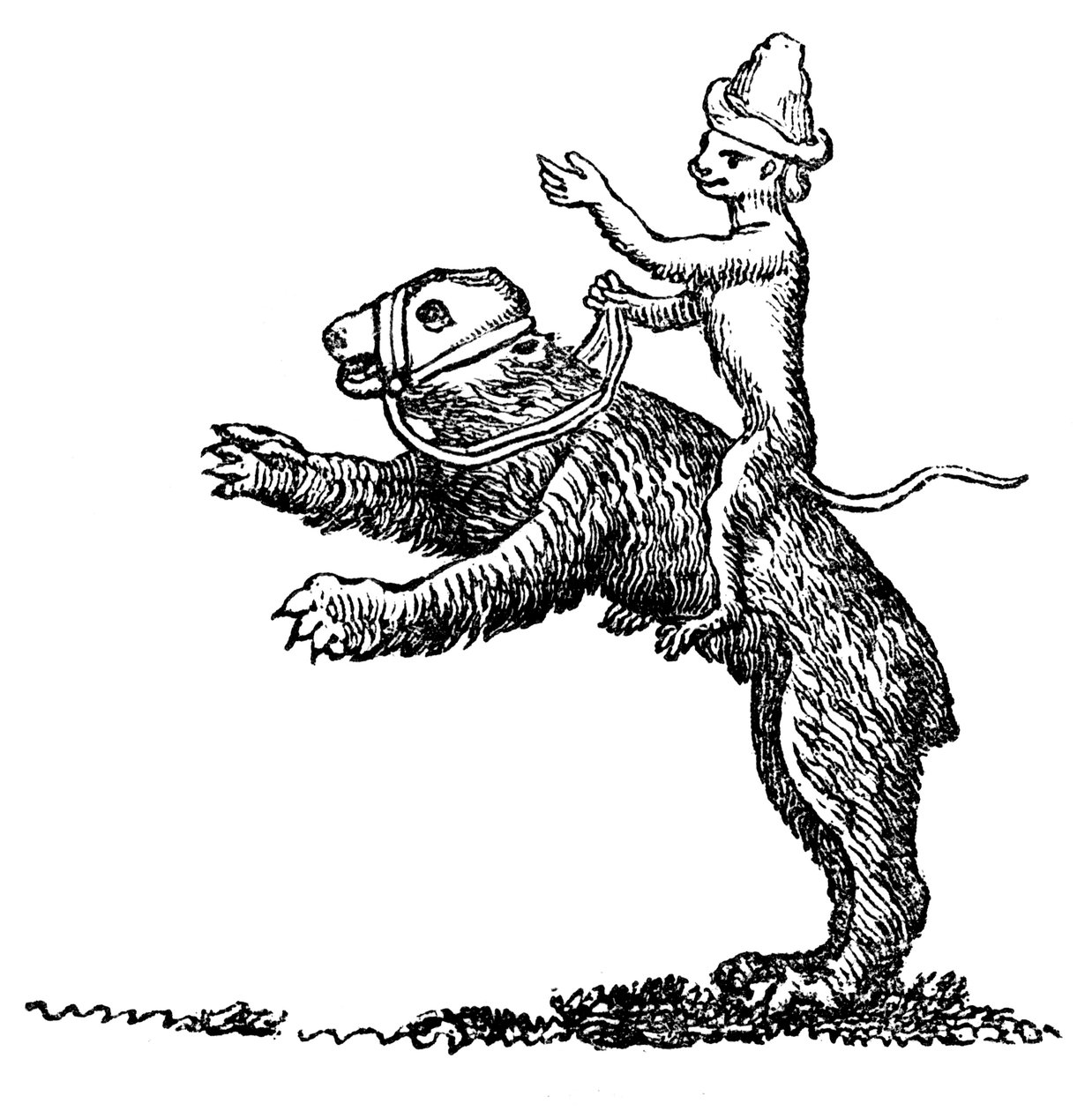 Urso e Macaco, século XIII, 1833 de Unbekannt