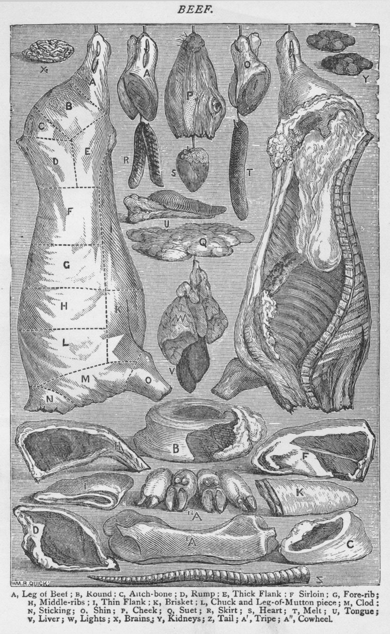 Carne, 1907, 1907 de Unbekannt