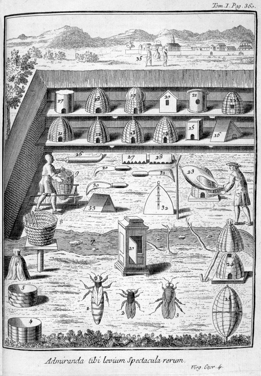 Apicultura, 1775 de Unbekannt