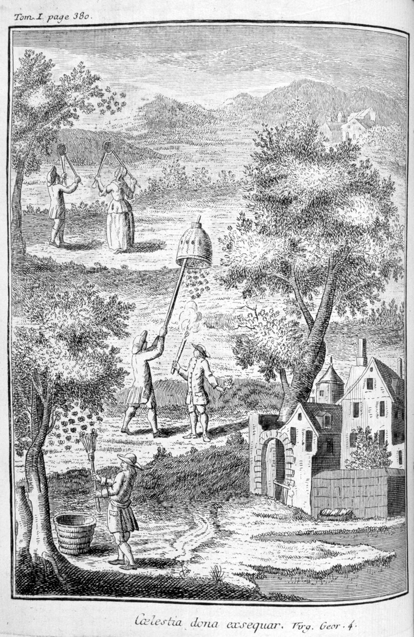 Apicultura, 1775 de Unbekannt