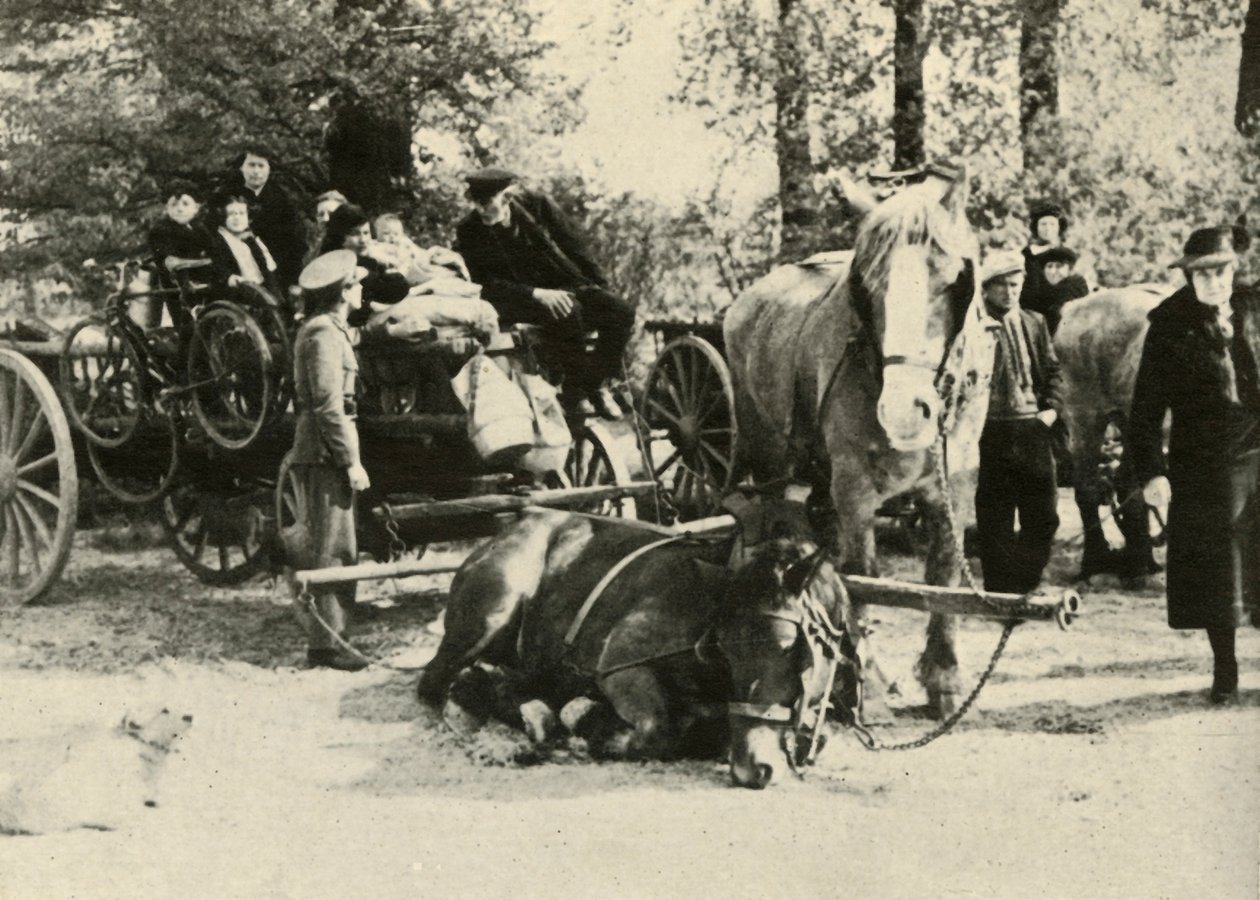 Refugiados belgas na estrada, 1939-1940, 1941. de Unbekannt
