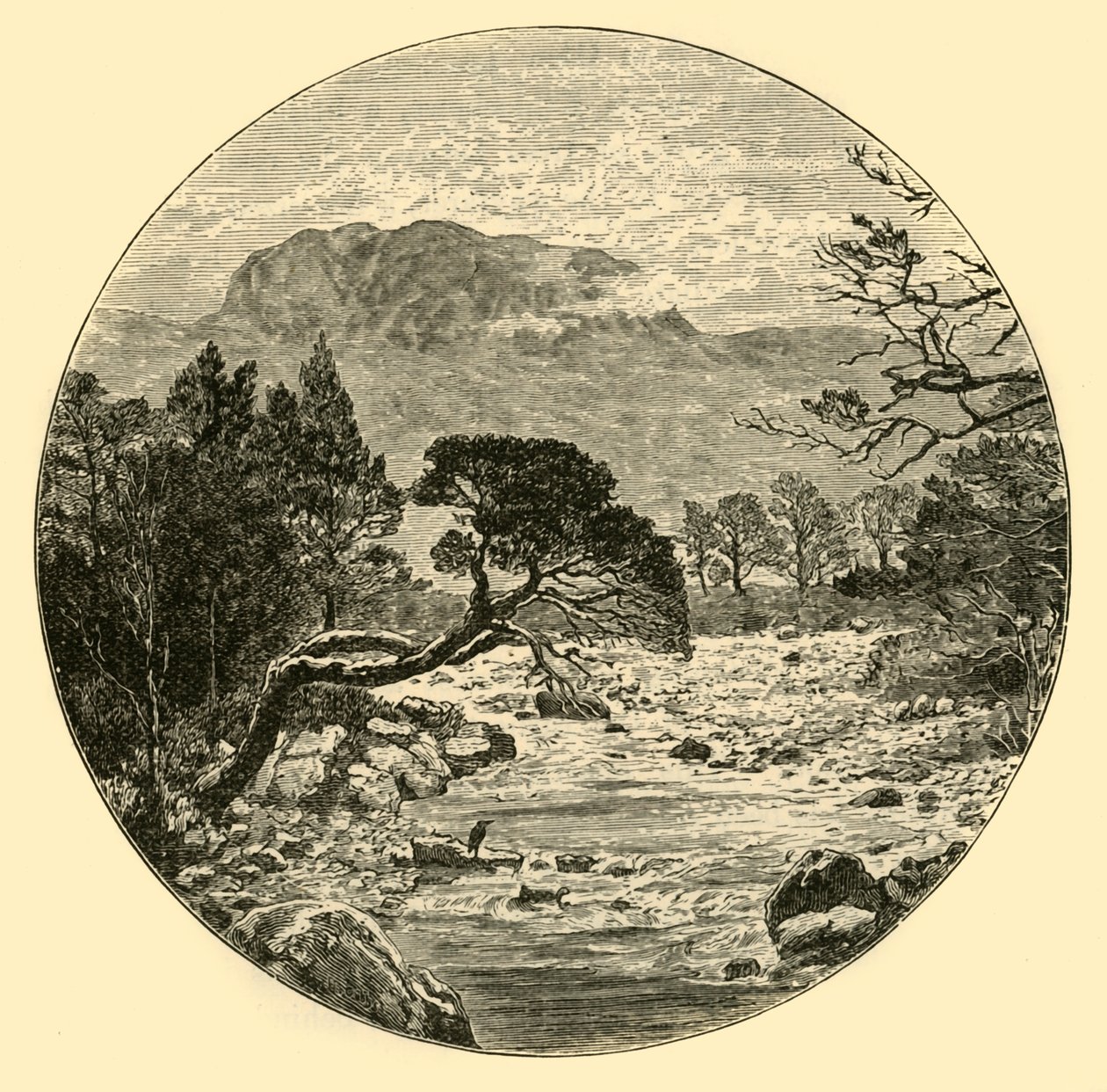 Ben Slioch, 1898. de Unbekannt