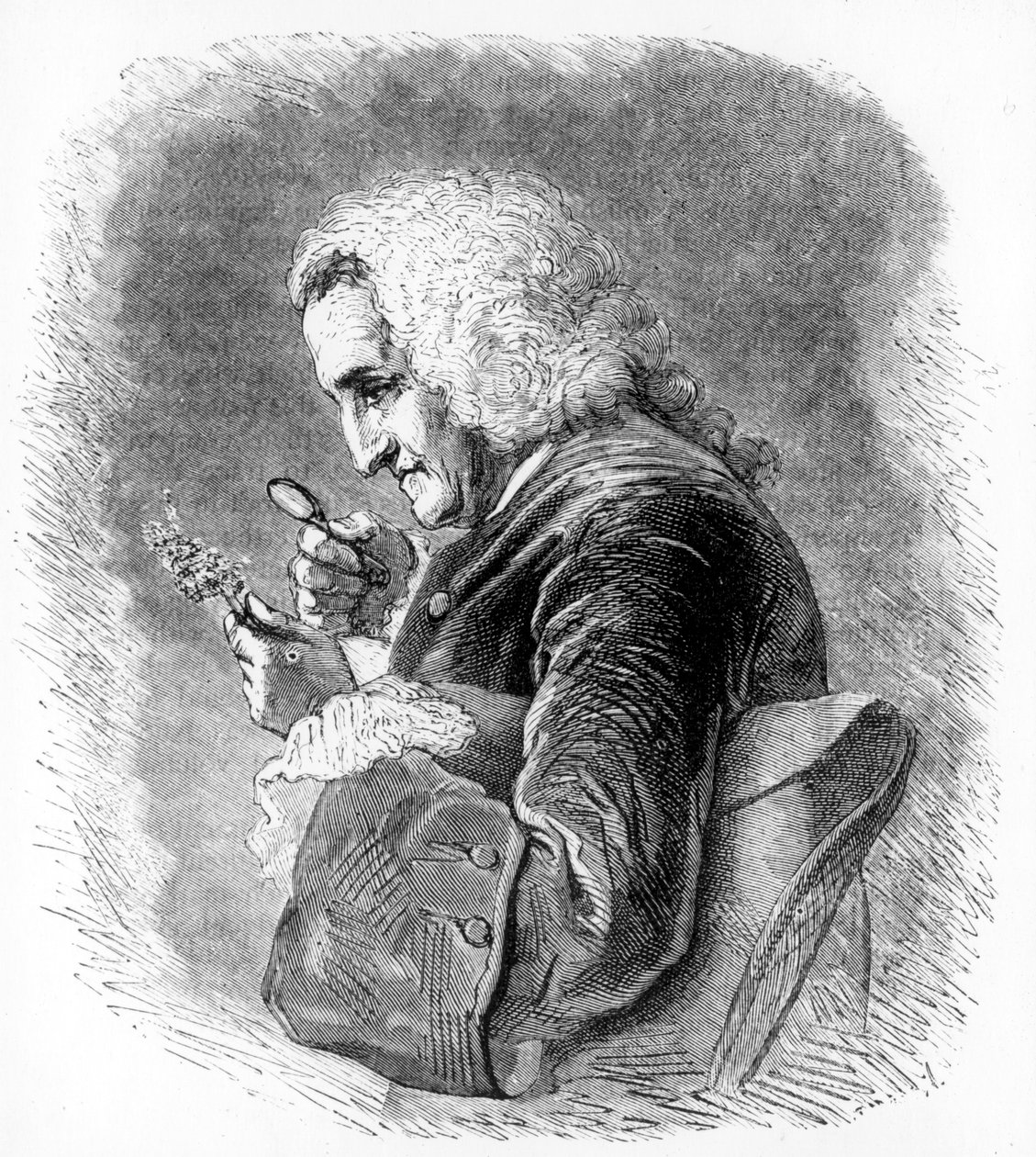 Bernard de Jussieu, botânico francês do século XVIII, 1880 de Unbekannt