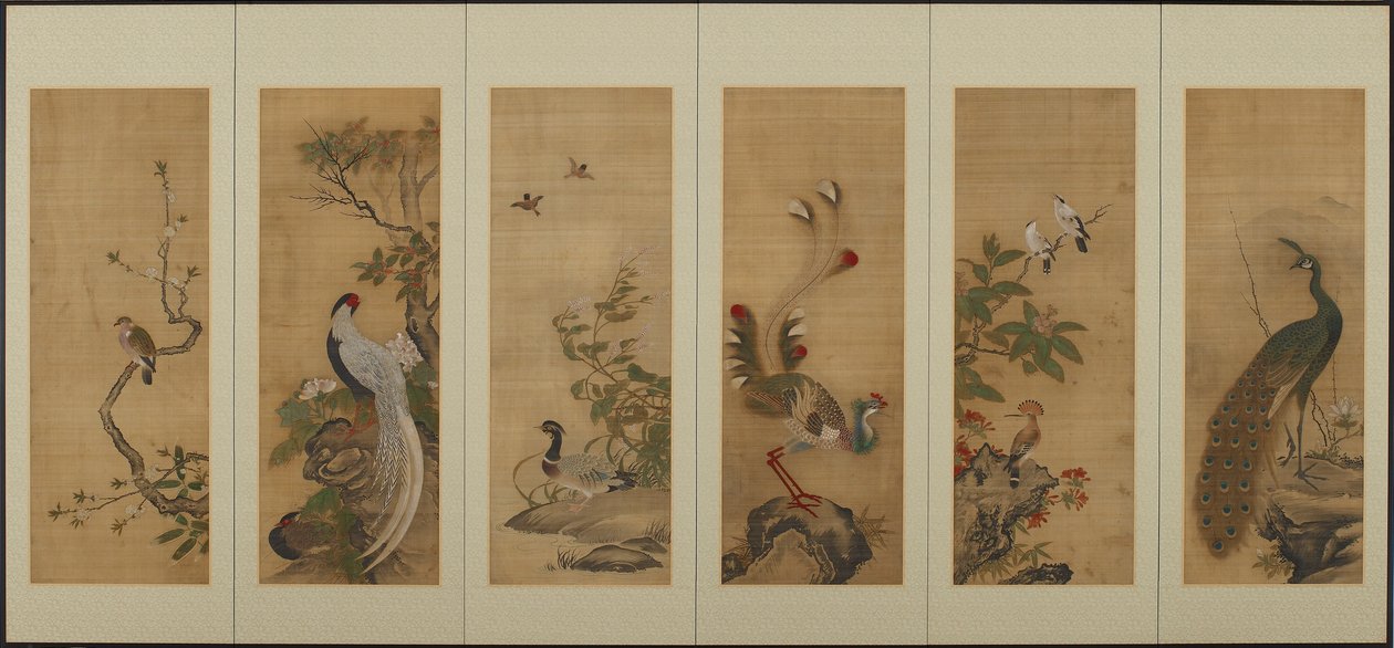 Pássaros e flores, período Edo, século XVIII. de Unbekannt