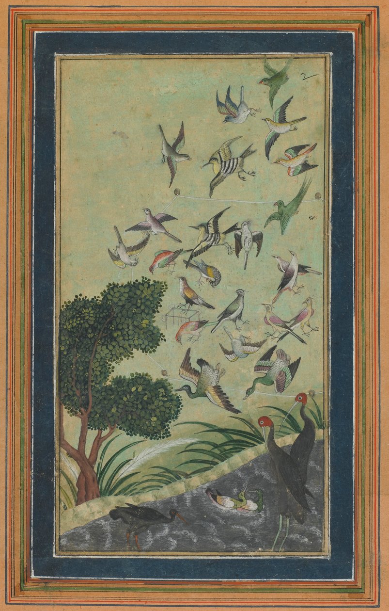 Aves em Baran, possivelmente do Babur-nama, final do século XVI. de Unbekannt