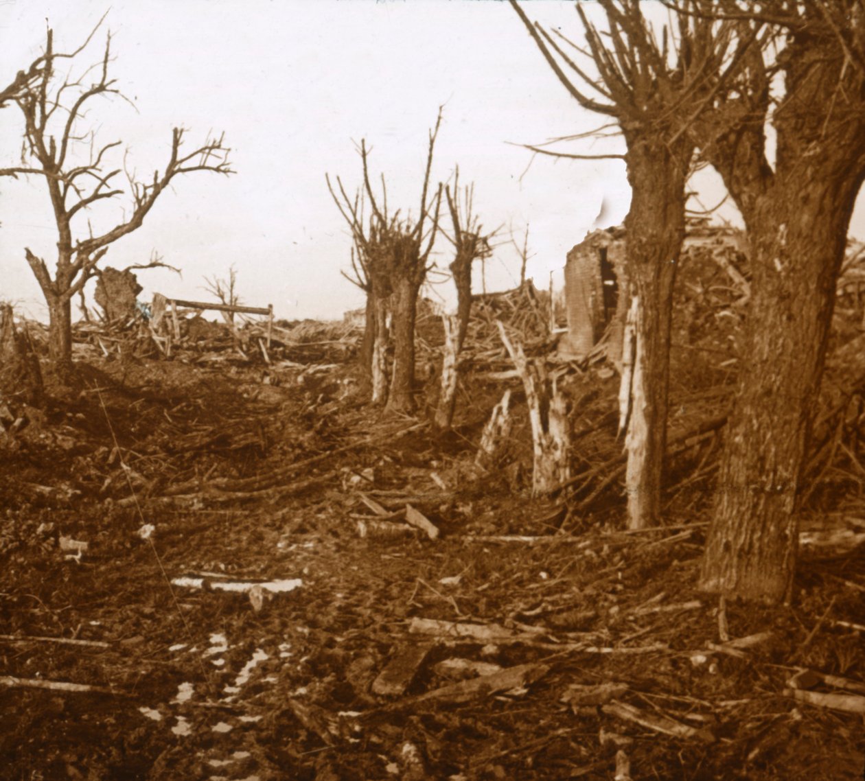 Paisagem destruída, Belloy-en-Santerre, norte da França, c1914-c1918 de Unbekannt
