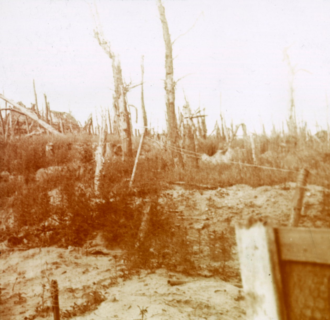 Madeira decapada, Nieuwpoort, Flandres, Bélgica, c1914-c1918 de Unbekannt