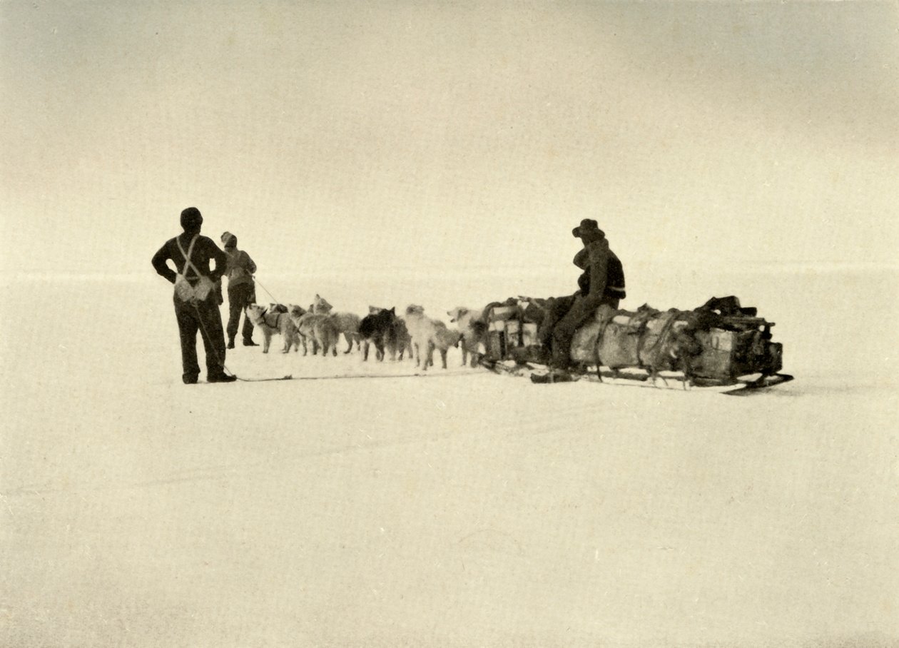 Partido do depósito do blefe na barreira, c1908, 1909. de Unbekannt