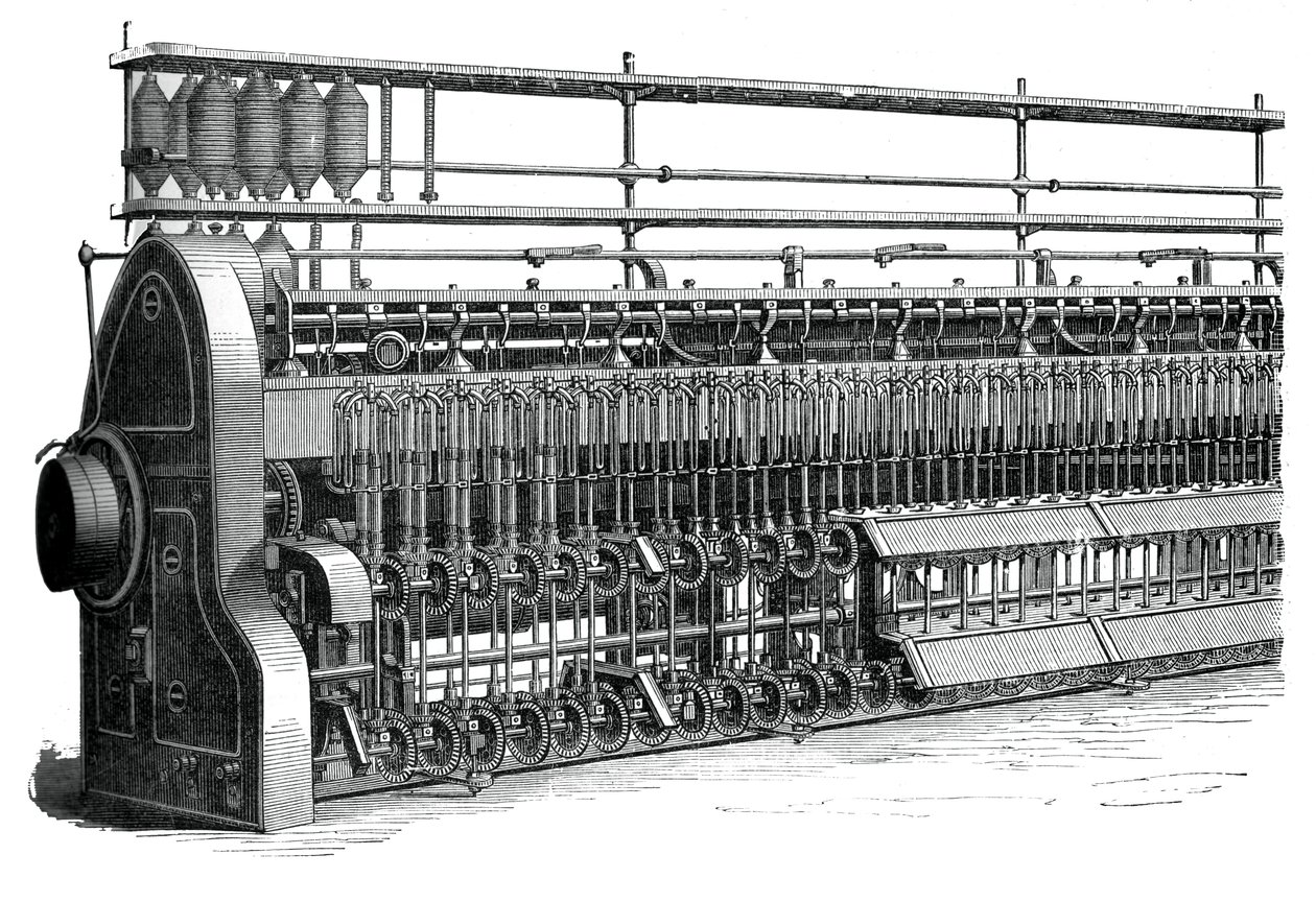 Quadro de bobina e mosca, c1880 de Unbekannt