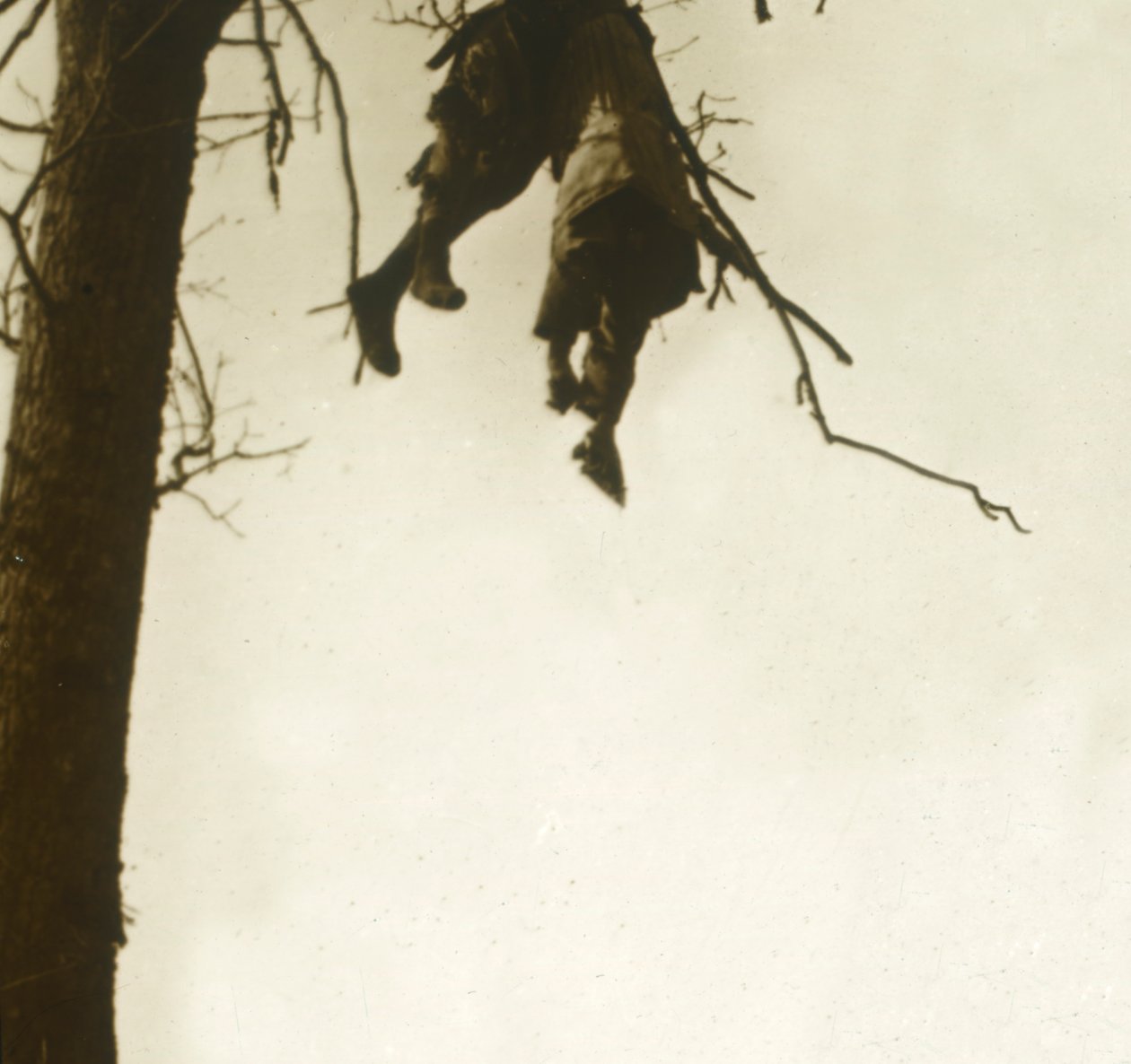 Corpo na árvore, Bois dAvocourt, Verdun, norte da França, c1914-c1918. de Unbekannt