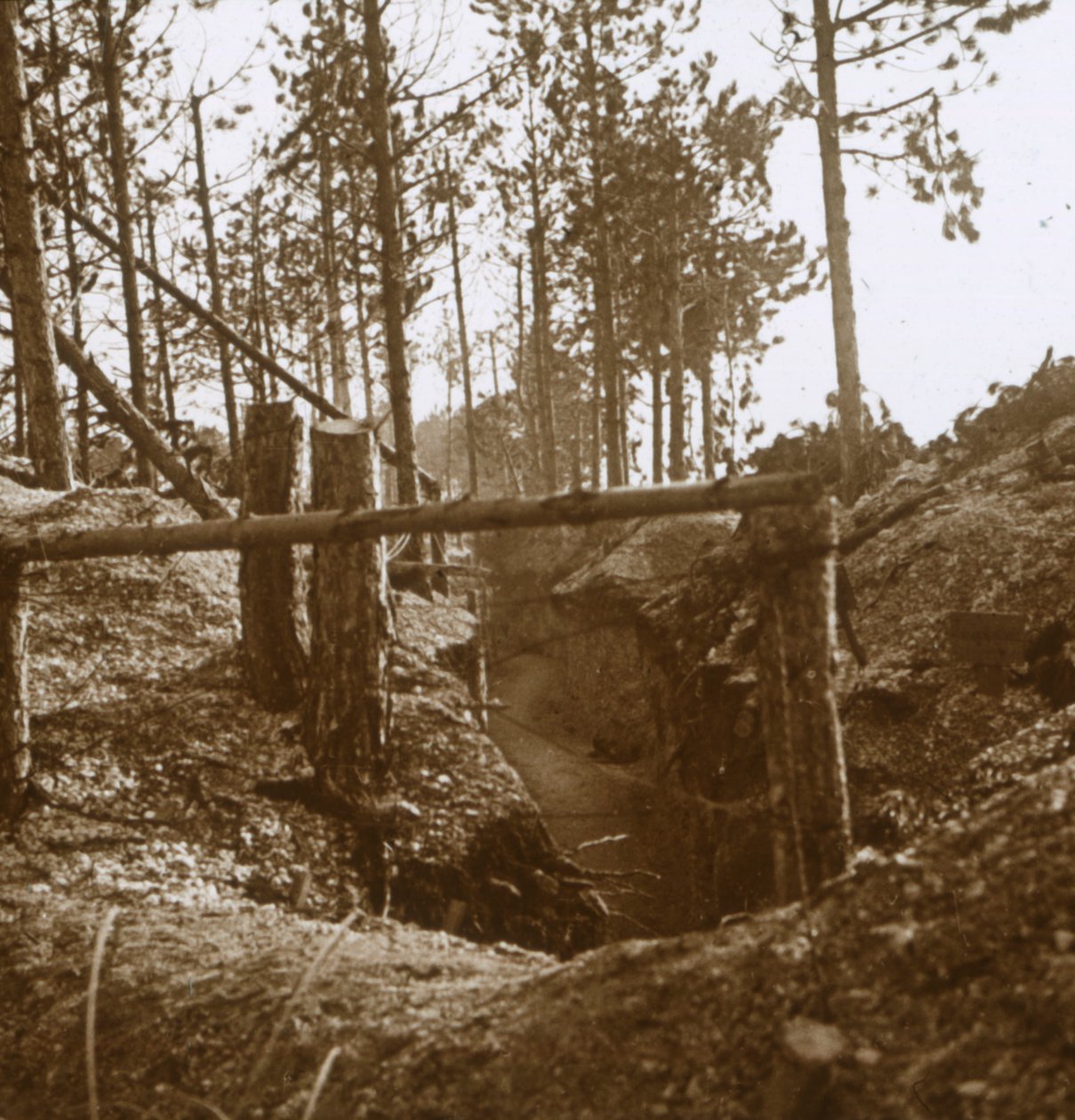 Bois-le-Prêtre, norte da França, c1914-c1915 de Unbekannt