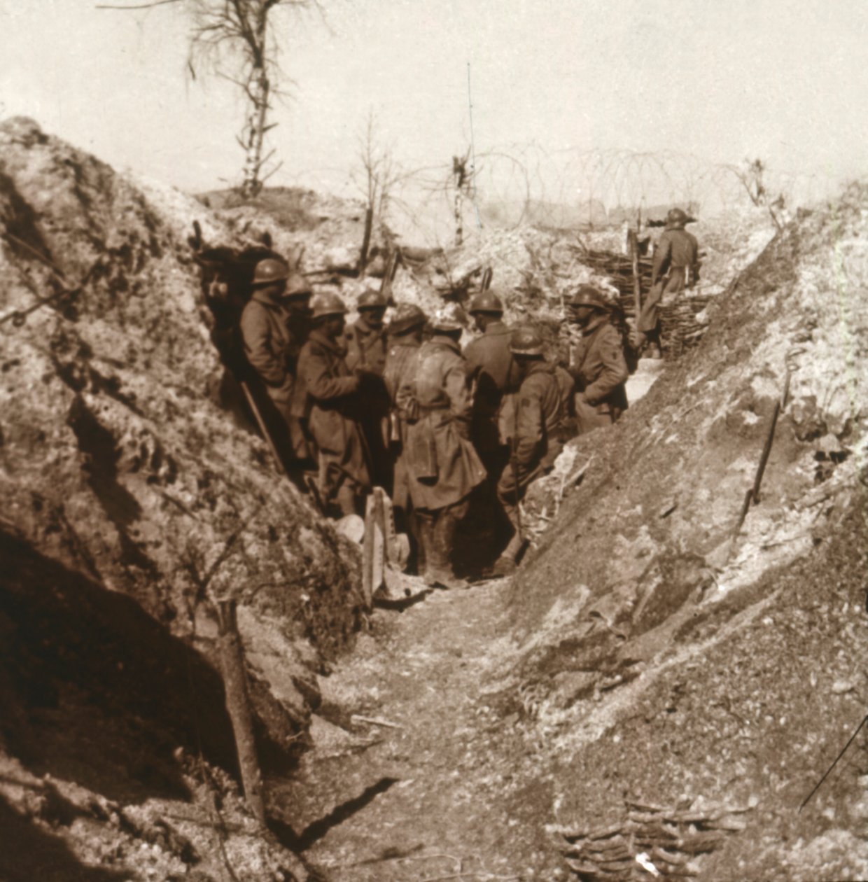 Grade de madeira antes do ataque, norte da França, c1914-c1918 de Unbekannt