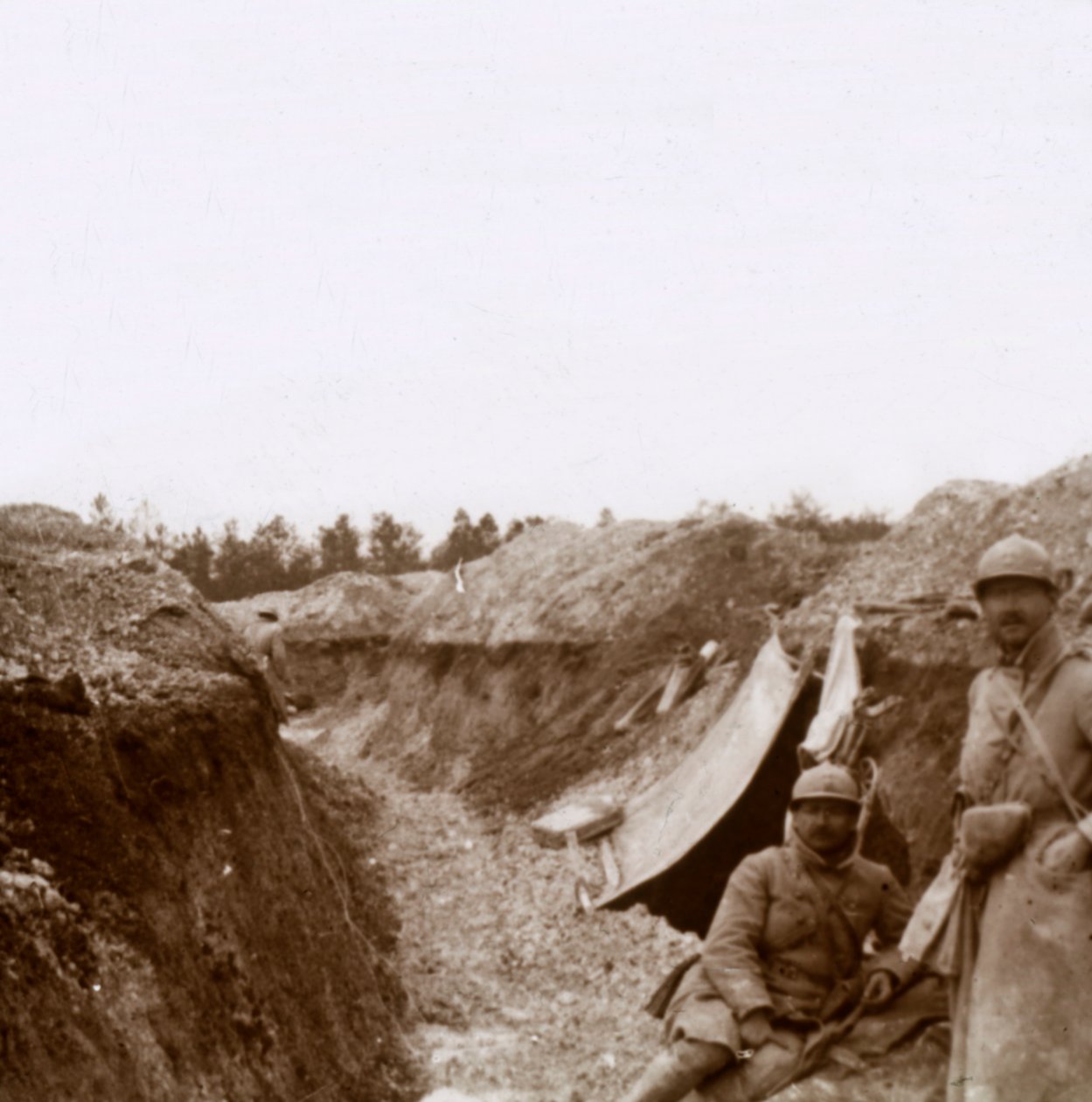 Bois de la Grille, norte da França, c1914-c1918 de Unbekannt