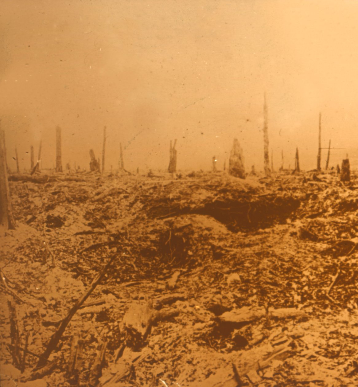 Bois du Chapitre, Vaux, norte da França, c1914-c1918 de Unbekannt