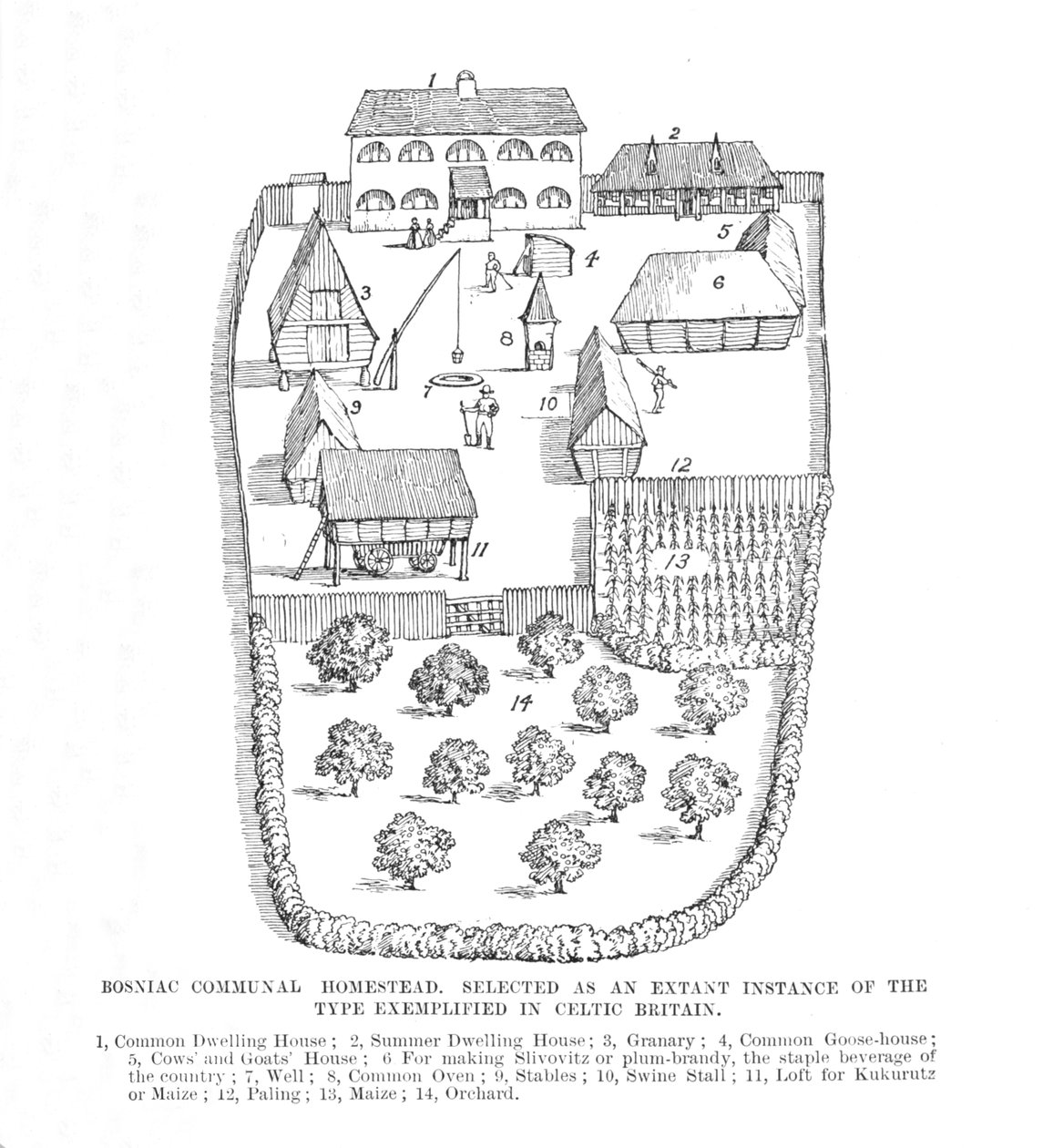 Herdade comun da Bósnia, 1902. de Unbekannt