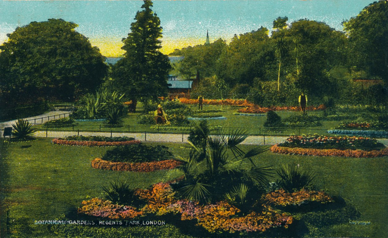 Jardim Botânico, Regents Park, Londres, c1910 de Unbekannt