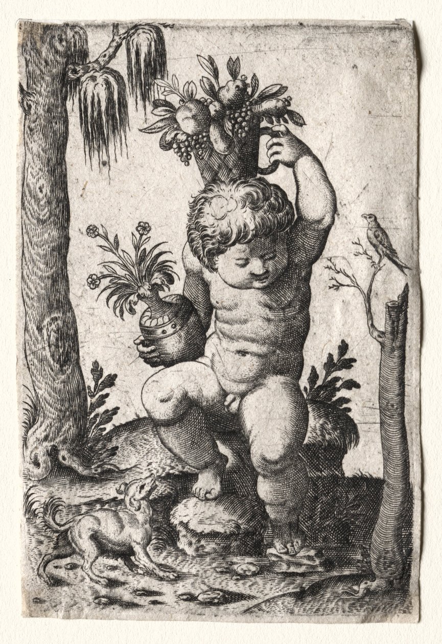 Menino com cesto de frutas, 1500 ou 1600. de Unbekannt