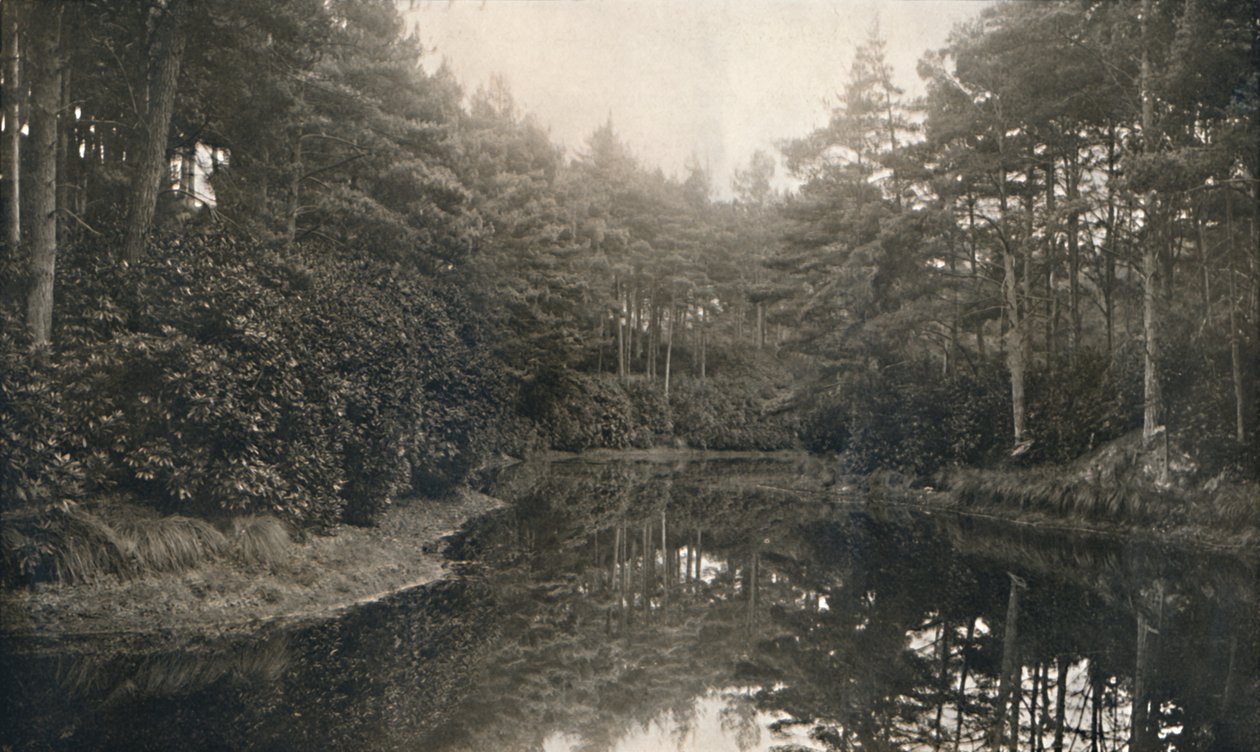 Branksome Chine and Lake, c1910 de Unbekannt