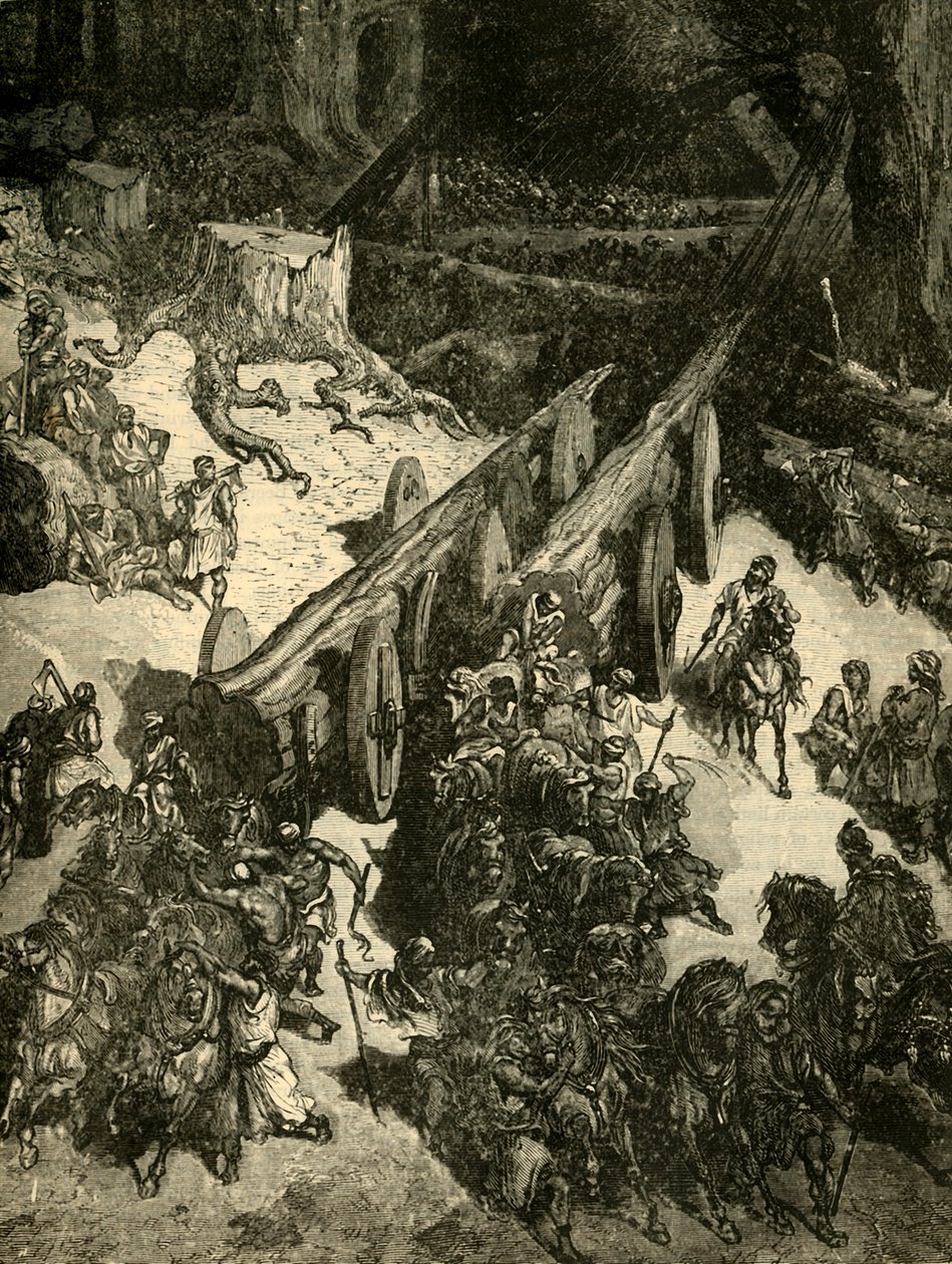 Trazendo cedro do Líbano, 1890. de Unbekannt