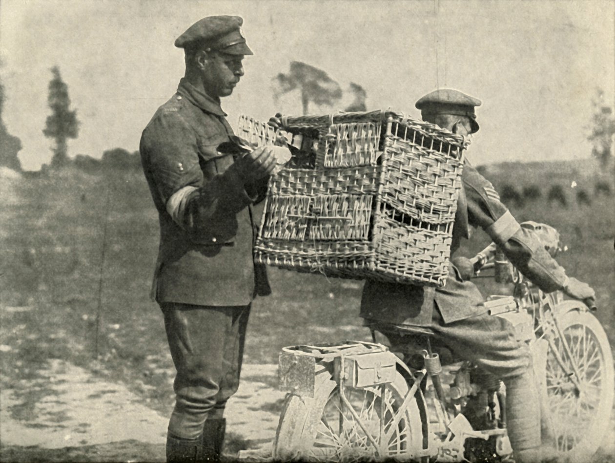 Pombos britânicos na França, 1919. de Unbekannt