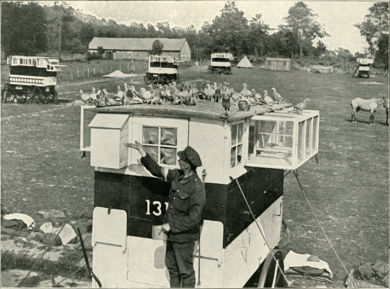 Pombos britânicos na França: Lofts puxados a cavalo, 1919. de Unbekannt