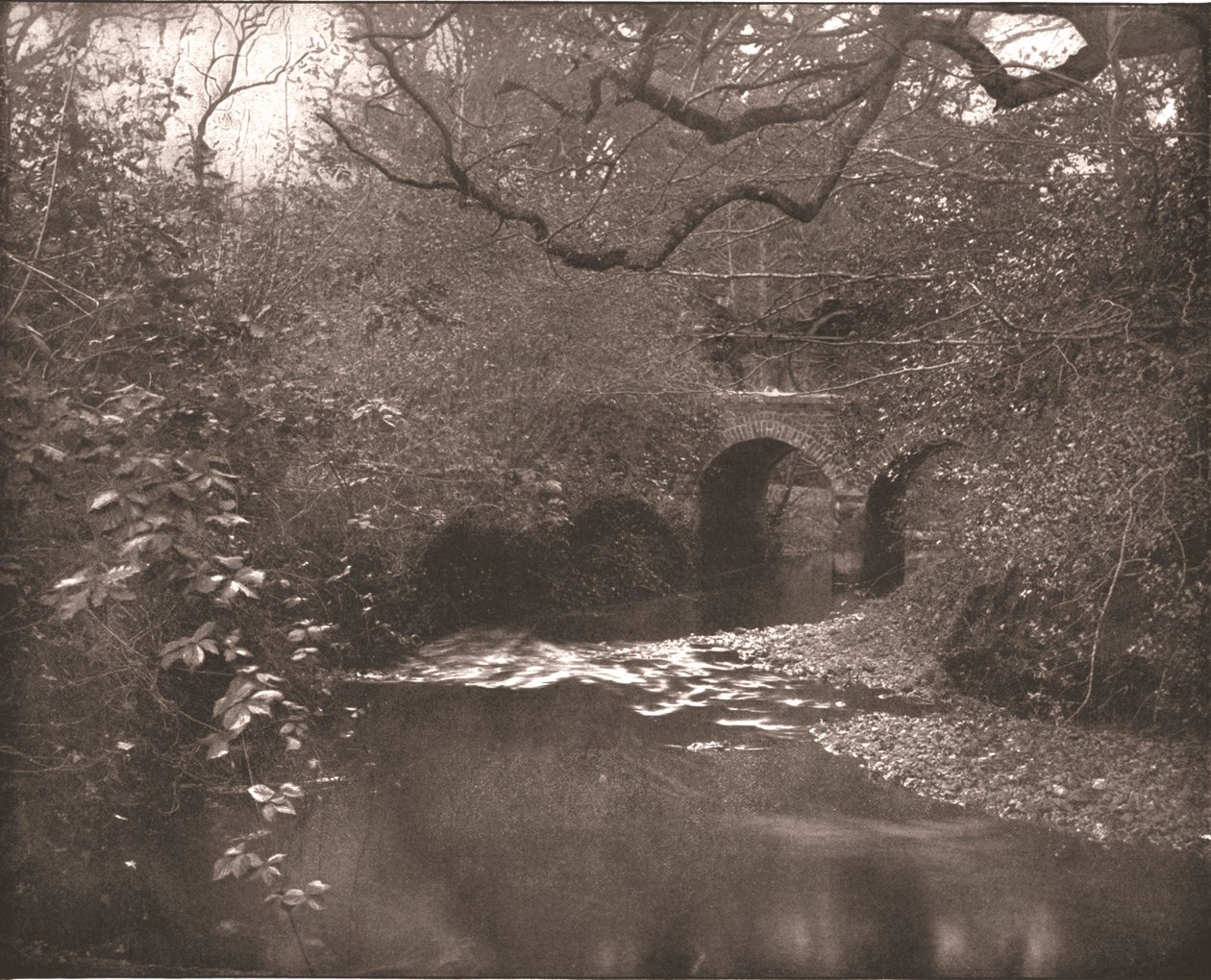 Ribeiro e ponte na floresta nova, Hampshire, 1894. de Unbekannt