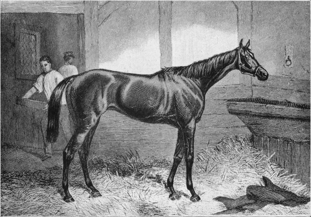 Duquesa Marrom, século XIX, 1911 de Unbekannt