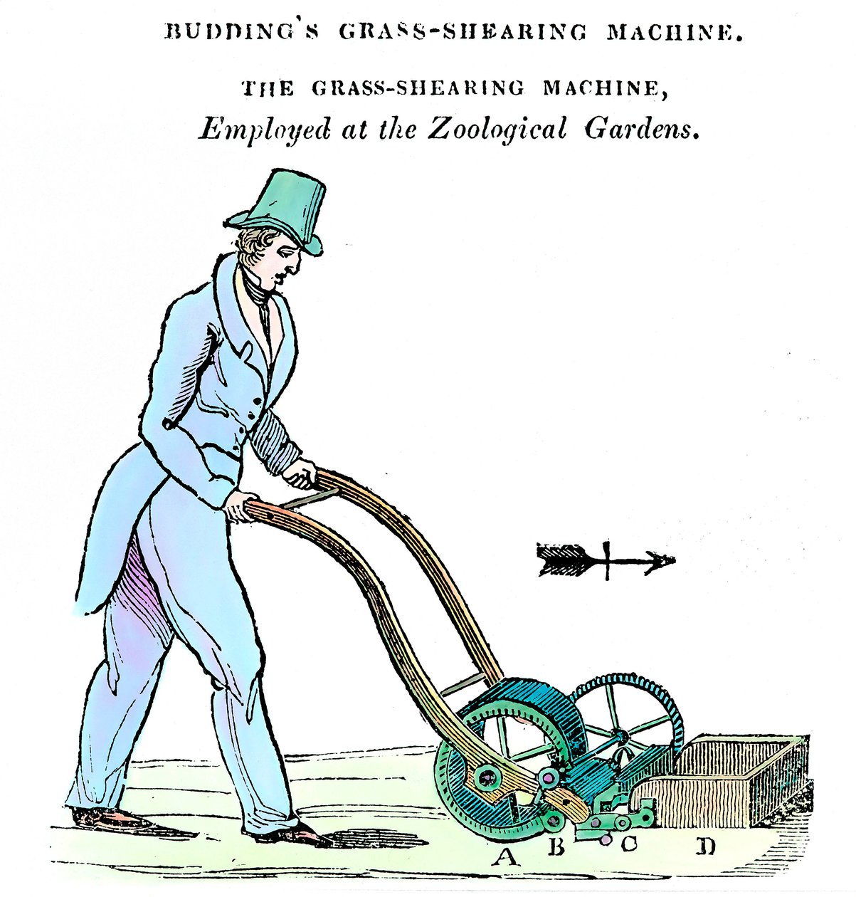 Máquina de cortar relva Buddings, c1832 de Unbekannt