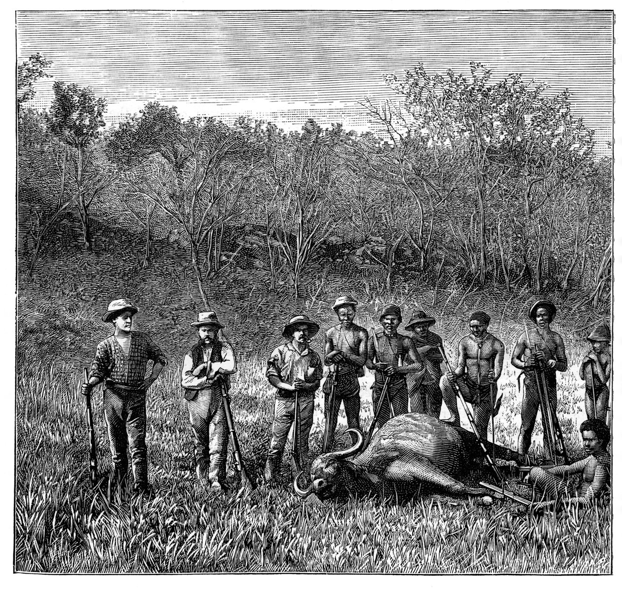 Caçadores de búfalos no Transvaal, África do Sul, c1890 de Unbekannt