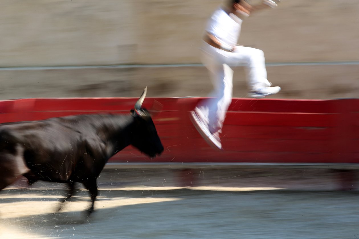 Tourada (Curso camarguaiseta). Um espetáculo sem sangue (para os touros) no qual o objetivo é arrancar uma roseta da cabeça de um touro, Vallabregues, França. de Unbekannt