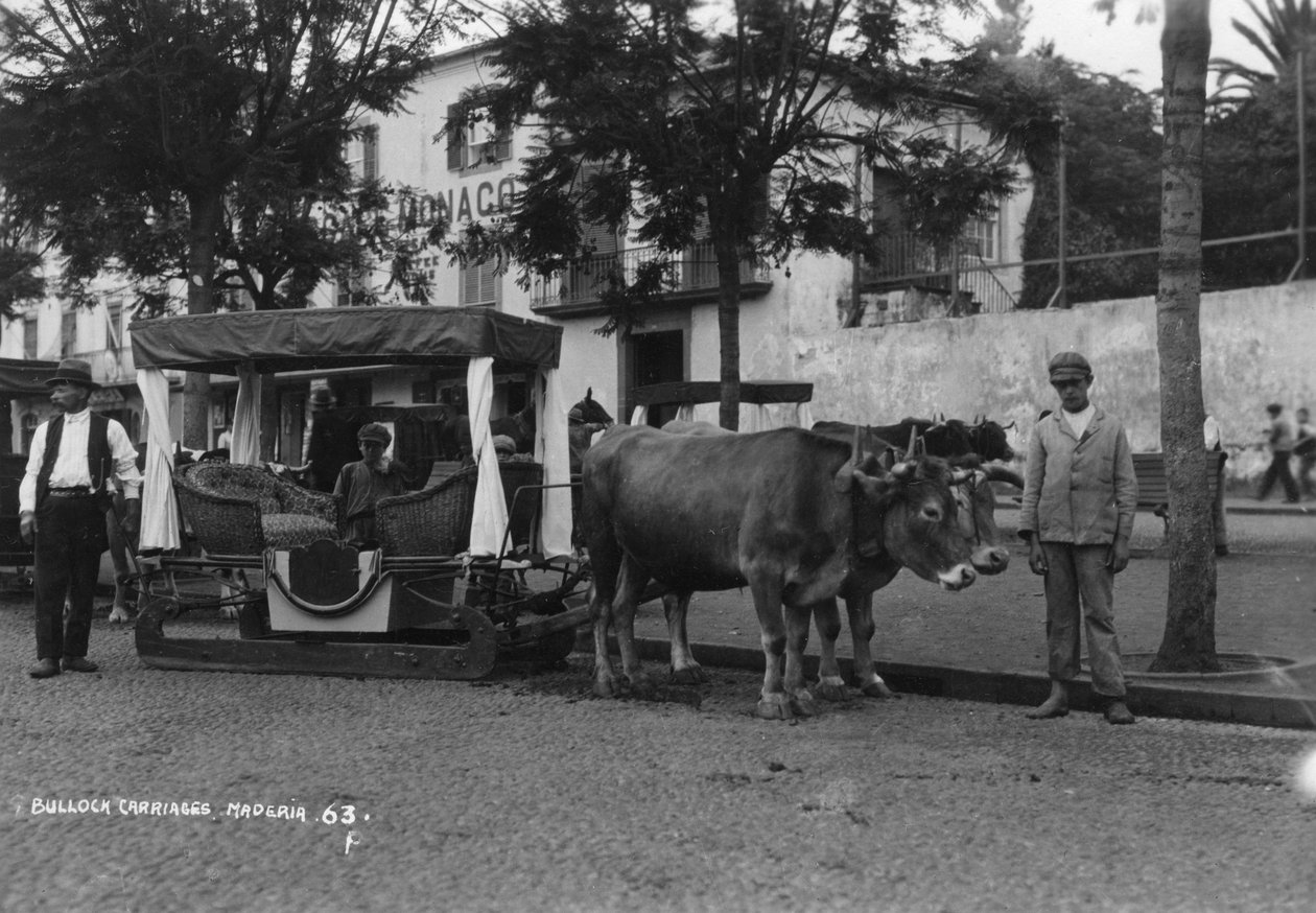 Carro de boi, Madeira, Portugal, c1920s-c1930s de Unbekannt