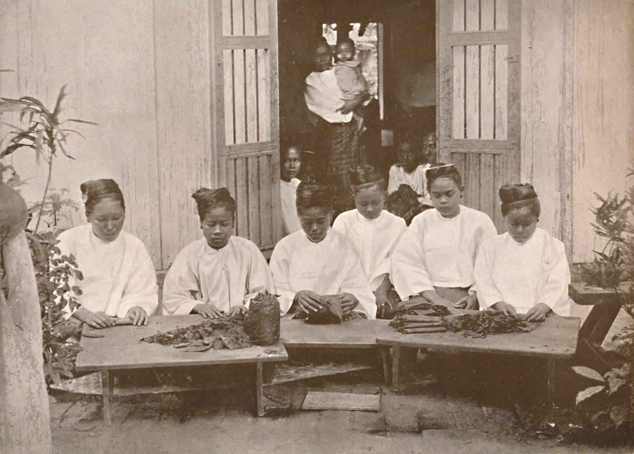 Fabricantes de charutos birmaneses, 1900. de Unbekannt