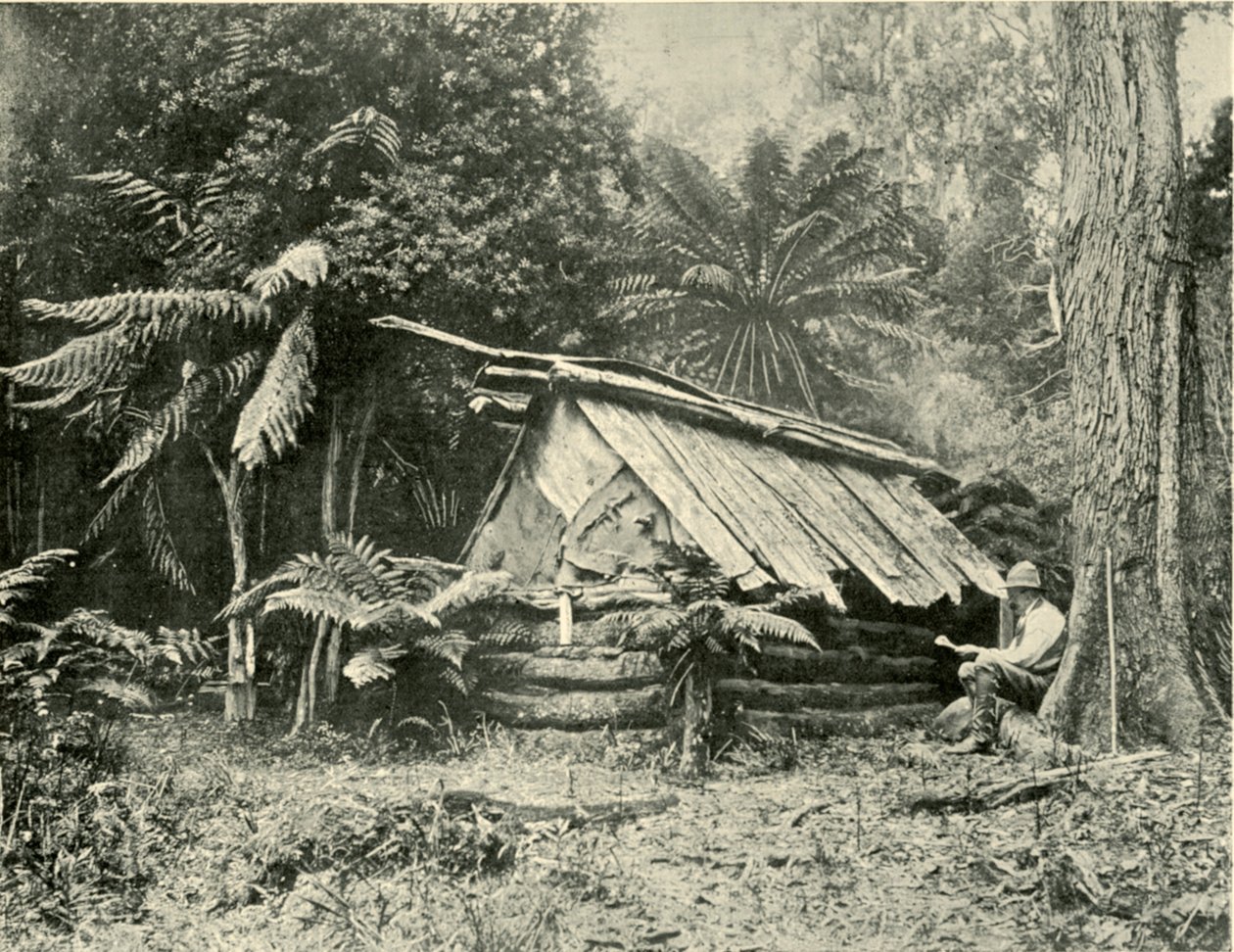 Bush Hut, Dandenong Ranges, Victoria, 1901. de Unbekannt