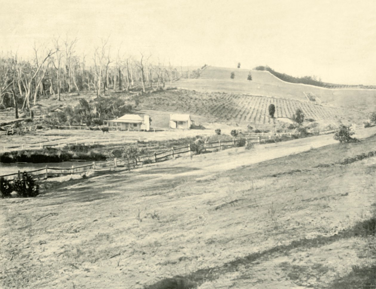 Bush Workmans Home, Gippsland, Victoria, 1901. de Unbekannt