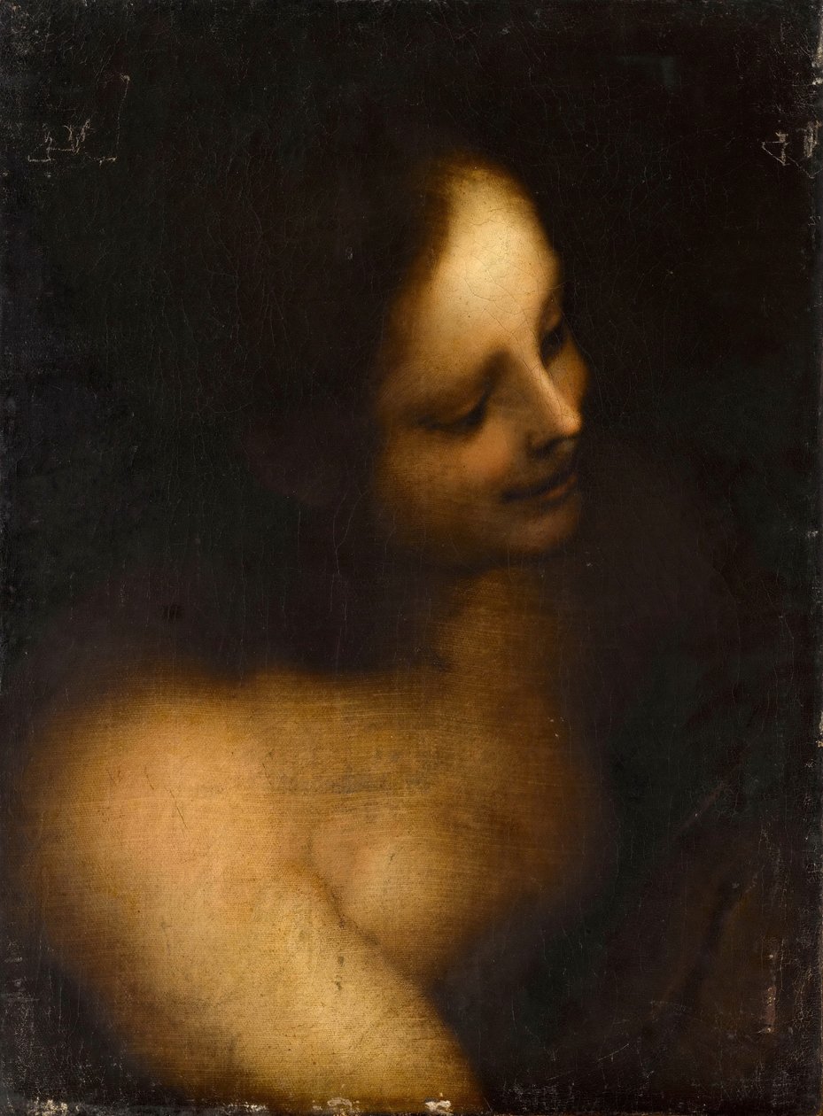 Nu feminino busto de Unbekannt