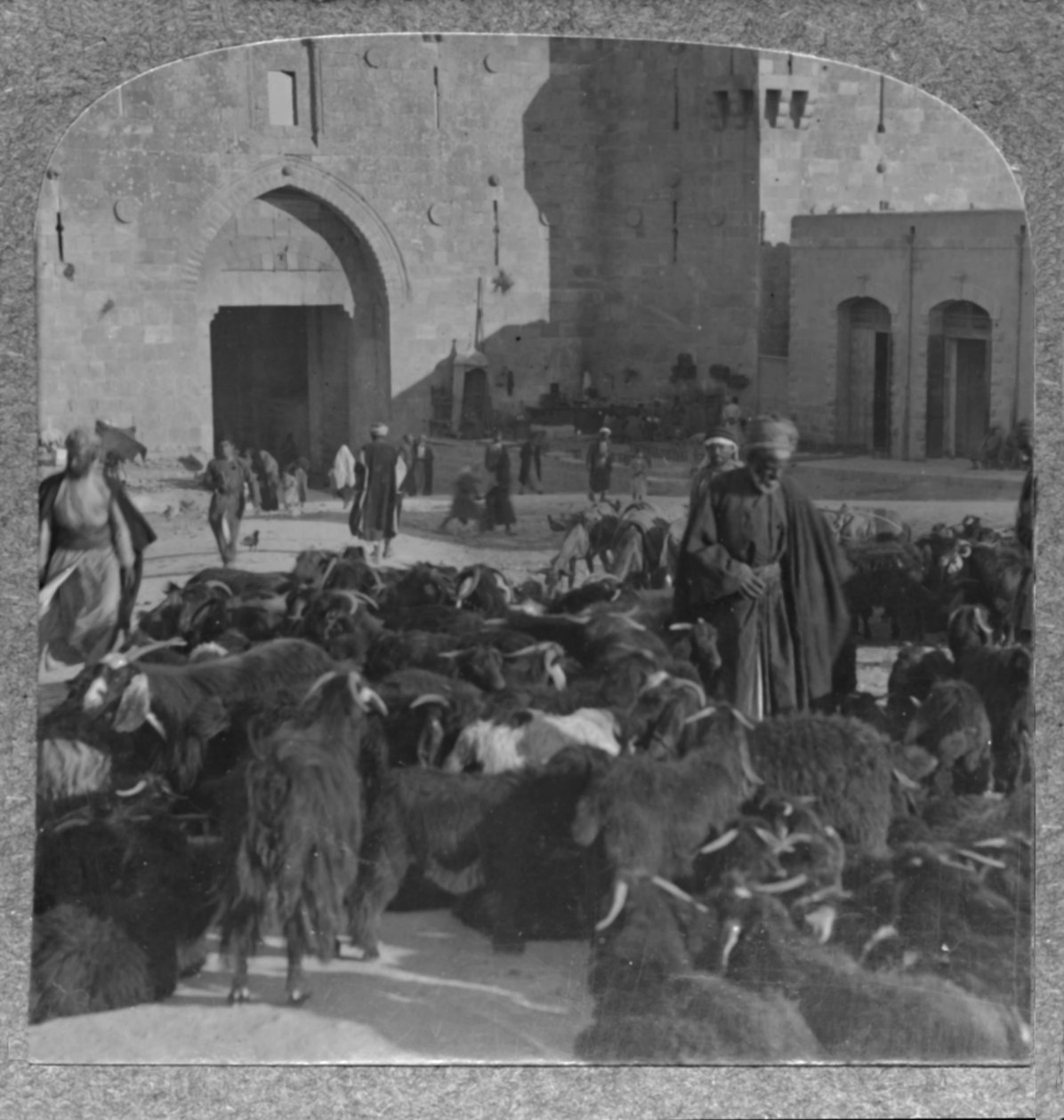 Compra de cabras no portão de Damasco, Jerusalém, c1900 de Unbekannt