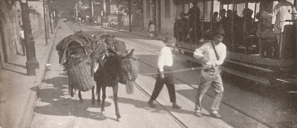 De bonde e mula, 1914 de Unbekannt