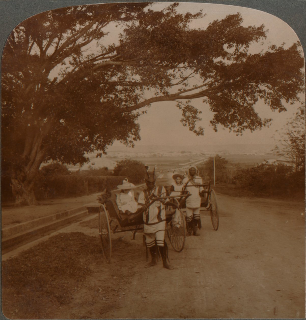 Táxis desenhados por nativos em uma estrada residencial, Durban, S. África, c1900 de Unbekannt