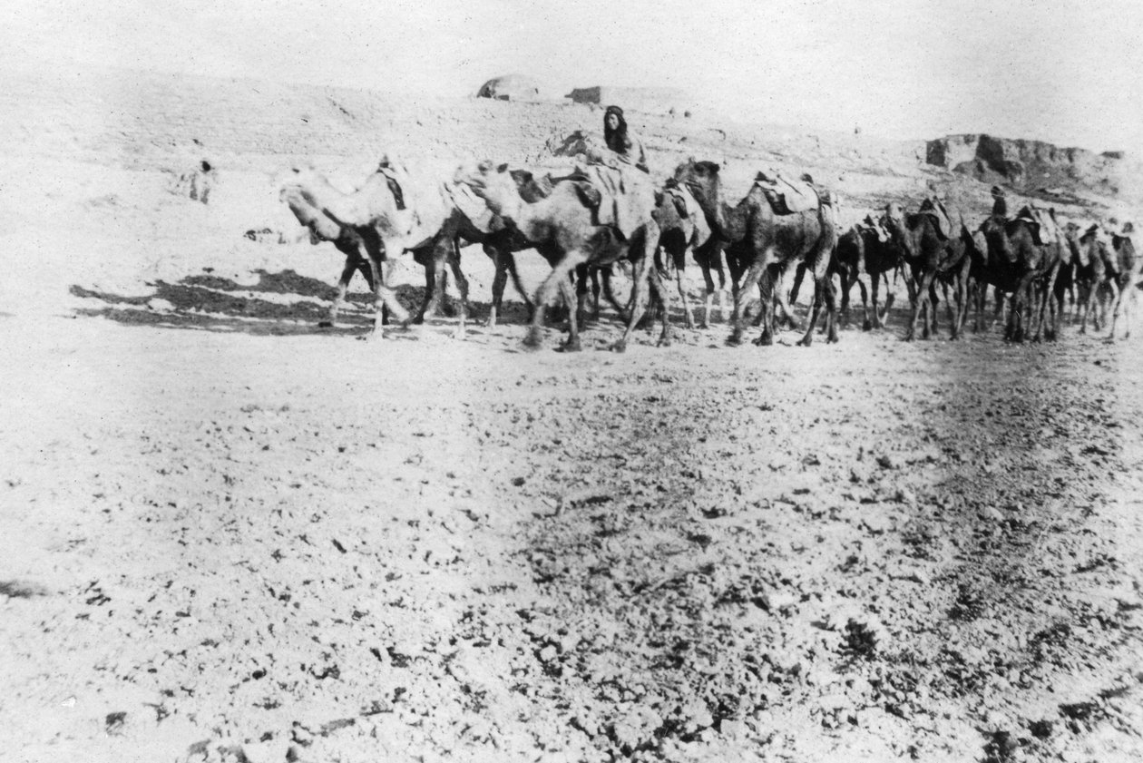 Trem de camelo, Mosul, Mesopotâmia, 1918 de Unbekannt