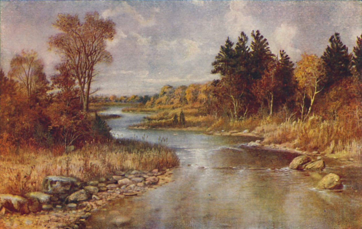 Cena da floresta canadense, 1924 de Unbekannt