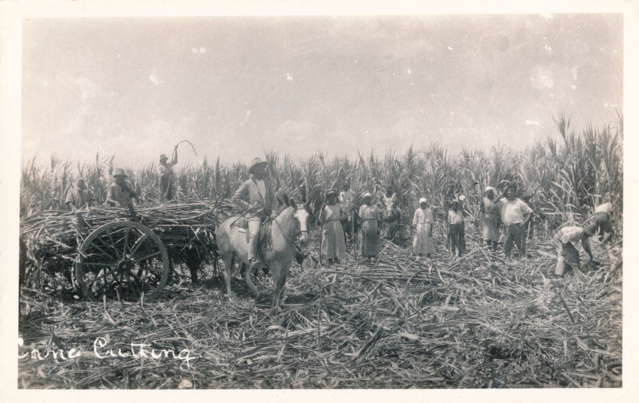 Corte de cana, c1930 de Unbekannt
