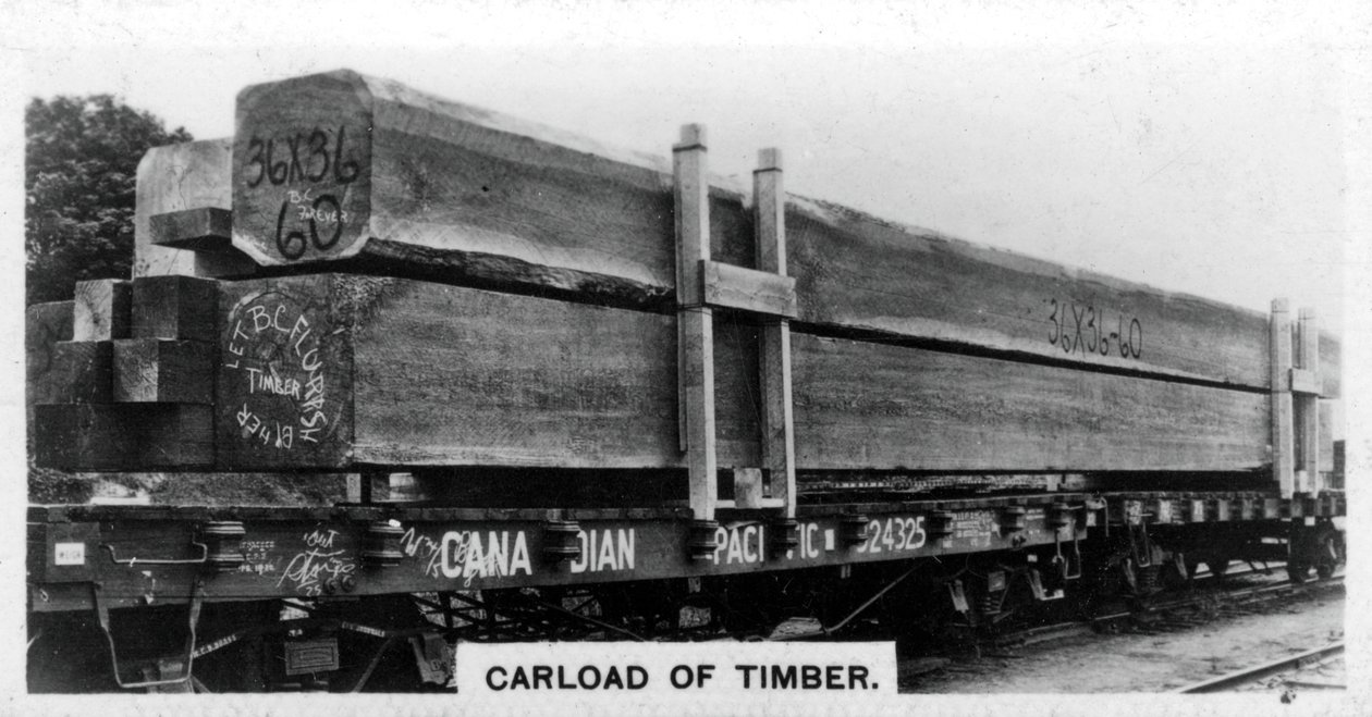 Carload of Douglas fir, Canadá, c1920s de Unbekannt