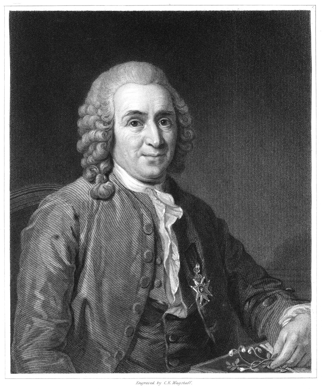 Carolus Linnaeus, naturalista sueco do século XVIII, 1835 de Unbekannt