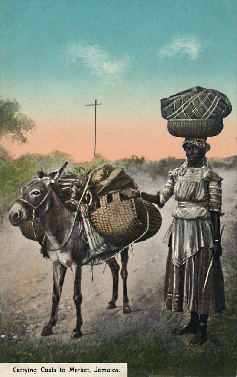 Transporte de carvão para o mercado, Jamaica, início do século XX. de Unbekannt